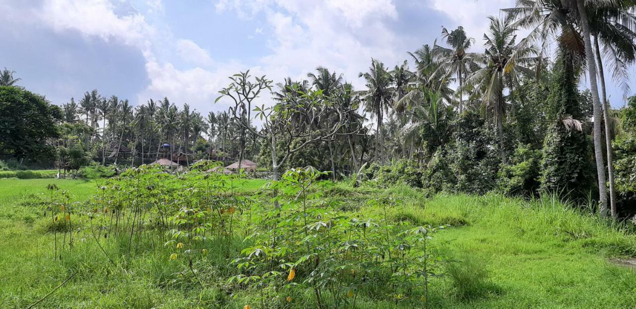 Hotel Pondok Tulasi Semaya House Payangan Exterior foto